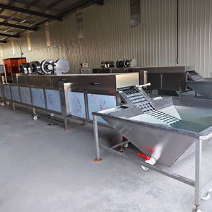 Máquina Motorizada de Acero Inoxidable para Lavar y Secar Huevos con Capacidad de 500 Piezas/min para Fábricas de Alimentos y Servicios de Catering Comercial - Product Image 6