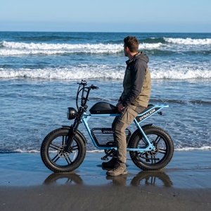 Vélo électrique à cadre en acier inoxydable avec <span class=keywords><strong>pneus</strong></span> larges 20x4.0, vélo de croisière côtier pour le transport estival des surfeurs sur la plage - Product Image 6