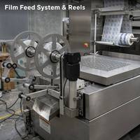 Industriële 420mm rolvoedingsmachine voor thermoformen en vacuümverpakking van hardware, werkstukken, snoep en betelnoot.