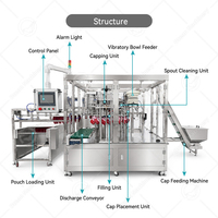 Machine de remplissage et de bouchage entièrement automatique OCEAN pour sachets souples Doypack avec bec verseur, pour liquides, eau et lait