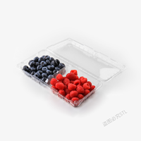 Kontainer Buah Blueberry 12 OZ PET Transparan Dua Kompartemen dengan Lubang Ventilasi