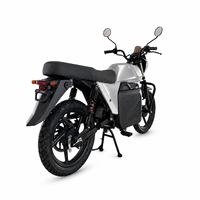 Wholesale Daily Commute High Speed Electric Adult Motorcycle High Performance Mid Drive Motor 85Km/h Electric Motorbike