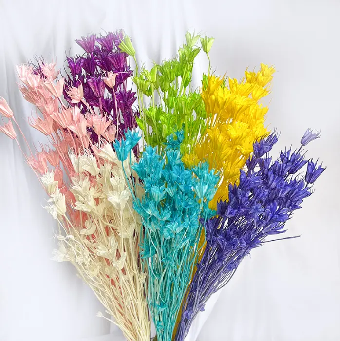 Natuurlijke Gedroogde Lavendel Bloemen Bundels Stengels Voor Thuis Wieden Decoratie Bloemstukken Huis Geur