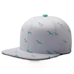 Thời trang tùy chỉnh trống bông cổ điển hat đồng bằng in Snapback cap với logo của bạn