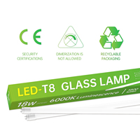 Lámpara LED T8 con Sensor de Radar HELI de 18W y 1.2M, 6000K, Activación por Movimiento, Lámpara de Vidrio, 15000H de Larga Duración, Iluminación de Ahorro de Energía para Jardín
