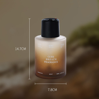 Diffuseur d'aromathérapie haut de gamme, huiles essentielles, brume parfumée, purificateur d'air, décoration de chambre, désodorisant pour toilettes, encens