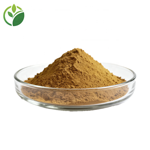 工場供給 大量 プライベートラベル ゴボウ根エキス ゴボウ根粉末 乾燥ゴボウ根 - Product Image 3