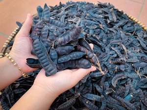 Black <b>Cone</b> <b>Incense</b> Natural Plant Extract Handmade Aromatic Long Burning Fragrance All Season Use - Product Image 4