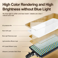 Lampe Vidéo LED Panneau Plat Beiyang 19 Pouces 85W, Modèle à Bouton, avec Télécommande, Éclairage de Photographie pour Studio Photo