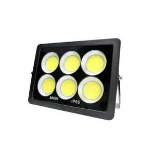 LED 홍수 조명 300W 200W 100W 50W 야외 조명 COB 투광 조명 220V 스포트라이트 IP65 현대 방수 야외 Led 정원 램프