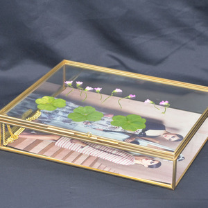 Chất Lượng Tốt Bản Lề Trang Trí Màu Đen Rose Brass Vàng Hình Ảnh Hình Ảnh Hộp Bóng Hai Mặt Khô Khung Bán Buôn 10x10 8*10 - Product Image 4