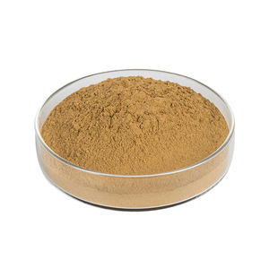 天然ホップエキス粉末Lupulin豊富なHumulus Lupulus花バルクホップコーンカスタマイズ可能な卸売 - Product Image 3