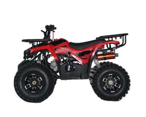 <span class=keywords><strong>Cuatrimoto</strong></span> ATV de 125cc, 4 tiempos, refrigeración por aire natural, arranque eléctrico, transmisión automática por cadena, de alta capacidad, para montaña - Product Image 4