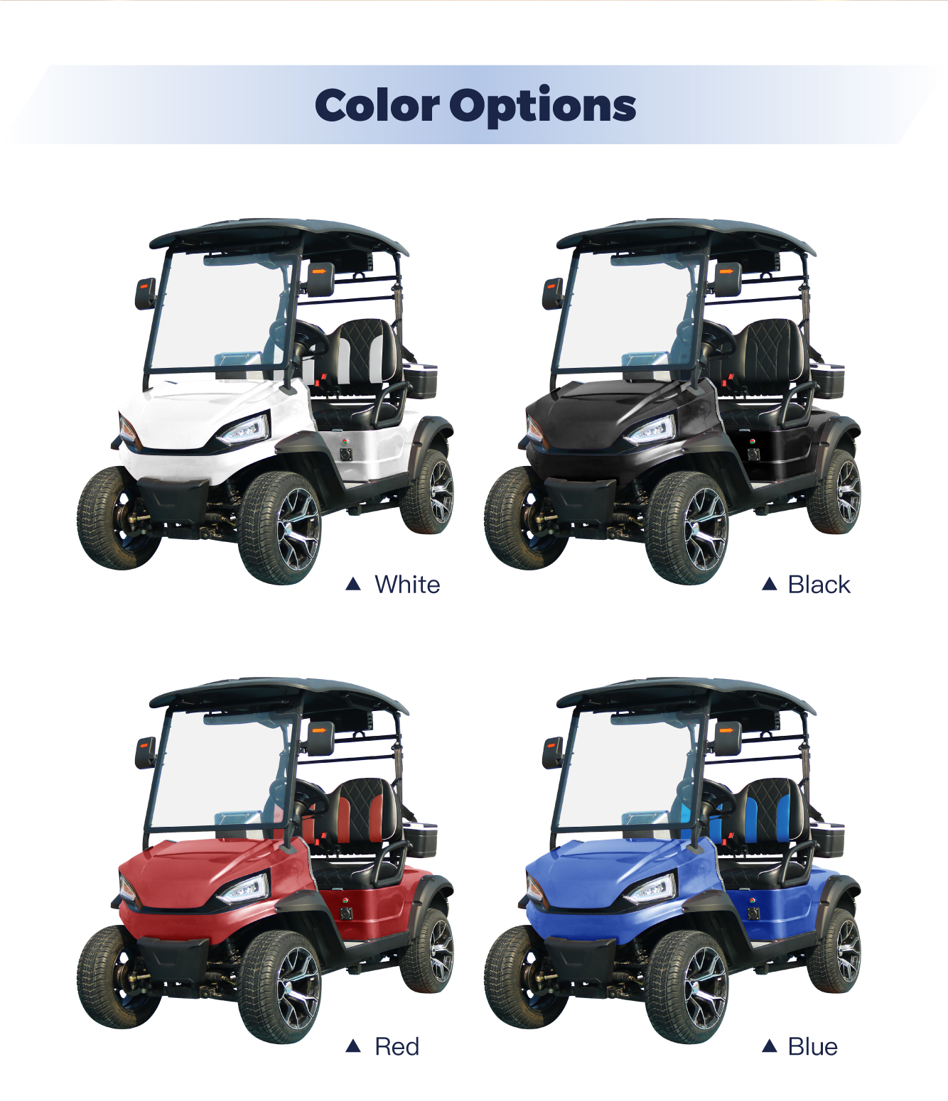 Customized 6-Seater Electric Golf Carts with Professional Design