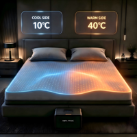 Système de refroidissement intelligent pour lit OEM ODM, surmatelas à refroidissement par eau à double zone, système de refroidissement de matelas pour la vente en gros