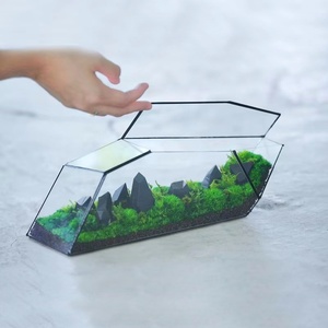 Small <strong>Terrarium</strong> <strong>Kit</strong> for Adults Glass Crystal Bottle - Product Image 2