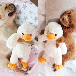 Teddy/Corgi puppy <b>plush</b> duck pet toy, makes sounds, durable, chewable, for keeping dogs entertained. - Product Image 1