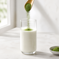 Poudre de Matcha Bio Premium Fraîche Verte pour Latte Glacé, Boissons Froides, Smoothies, Pâtisseries – Certifiée USDA et UE – Vente en Gros AAAAAA