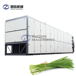 La línea de producción de secado de correa de malla maneja cebollino fresco y eneldo con velocidad rápida para el procesamiento diario - Product Image 1