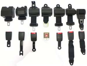 E13認定緊急ロック2点式安全ベルト、ウェビングロック/ロックロープ付き - Product Image 2