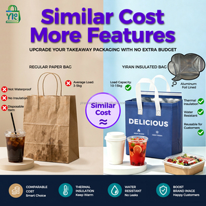 Non Woven Aluminum Foil Cooler <strong>Bag</strong> Small Takeaway Cold and Hot Drinks Coffee <strong>Food</strong> <strong>Delivery</strong> Disposable <strong>Thermal</strong> Insulated <strong>Bag</strong> - Product Image 2