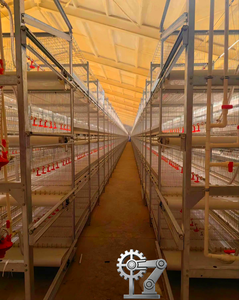 Nouvelles cages d'élevage de poussins en acier galvanisé de type H durables avec système de nettoyage automatique du fumier et d'alimentation pour poussins. - Product Image 5