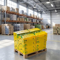 Boîte en plastique ondulé PP écologique, recyclable et réutilisable pour l'emballage de légumes, fruits, noix, collations, maïs, raisins, asperges