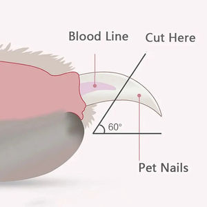 Professional Pet Nail <b>Scissors</b> With LED Light Cat <b>Dog</b> Nail Tool <b>Scissors</b> Nail Toeclaw Cutter <b>Scissors</b> Pet Suppl - Product Image 5