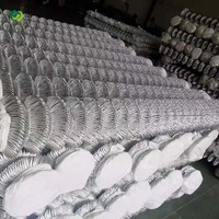 Malla de Alambre Galvanizada de Acero de Bajo Carbono de Alta Resistencia a la Corrosión para Cercas Decorativas de Ranchos y Protección de Ciervos