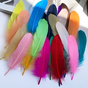<span class=keywords><strong>Plumes</strong></span> d'oie blanches teintées, lavées, rigides, moelleuses, grandes, pour la vente en gros aux fabricants, accessoires de décoration DIY, attrape-rêves - Product Image 4