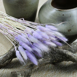 Accessoire de <span class=keywords><strong>fleuriste</strong></span> en gros vraies fleurs conservées séchées Lagurus éternel éternel lapin queue herbe pour décorations - Product Image 4