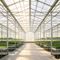Serre multi-travées moderne en panneaux de polycarbonate et structure en acier pour élevage de poulets, usage agricole et culture de plantes à forte luminosité