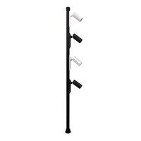Spot LED magnétique moderne sur rail AC85-265V, anti-éblouissement, en aluminium, COB, 2W, à glissière libre, dimmable, pour usage en centre commercial et bijouterie