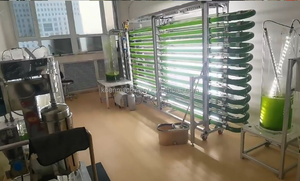 Fotobiorreator de Microalgas - Product Image 3