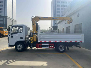Nuovo <span class=keywords><strong>Camion</strong></span> Ribaltabile Diesel Euro 5 Tianyun con Trasmissione Manuale, Altezza di Sollevamento 20m, Dotato di Gru Mobili e Impianti di Perforazione Rotante - Product Image 6