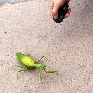 Juguetes a control remoto para niños, juguetes de simulación de animales de <span class=keywords><strong>mantis</strong></span> - Product Image 5