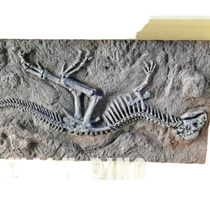 Fonte de dinossauro esqueleto fóssil tiranossauro rex fóssil adequado para bolas de compras, parques, podem ser personalizados, tamanho sic zuu dino