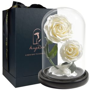 2 pezzi di rose eterne conservate <span class=keywords><strong>in</strong></span> Mini <span class=keywords><strong>vaso</strong></span> di vetro fresco naturale rosso fiori veri Custom Logo scatola regalo natale san valentino - Product Image 2