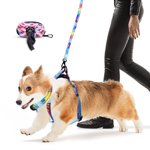 Sovan <strong>Dog</strong> Collar Leash Set Adjustable Lightweight Eco-Friendly Textile Pet Harness Fashion Comfortable No Pull Leash Small - Product Image 4