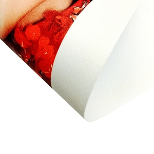 Ân Sủng màu <span class=keywords><strong>Matte</strong></span> <span class=keywords><strong>PVC</strong></span> tráng frontlit <span class=keywords><strong>Flex</strong></span> biểu ngữ 13oz/440gsm cho dung môi UV Latex in ấn - Product Image 5