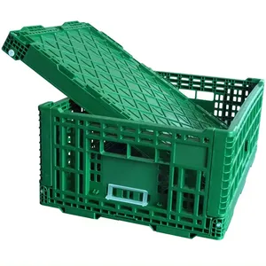 Nhà Máy đục ráp ráp Rau Crate giá rẻ Nhựa <span class=keywords><strong>container</strong></span> nhựa có thể gập lại vận chuyển Crate - Product Image 1