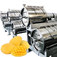 10 T/h Mango Pulp Productielijn Mango Pulp Verwerkingsmachine Mango Puree Sap Productielijn