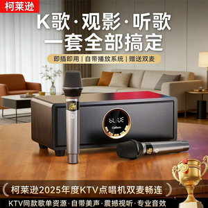 Juego de altavoces KTV con micrófono dual, sistema de karaoke doméstico de 382x176x130mm con control remoto para uso familiar - Product Image 3