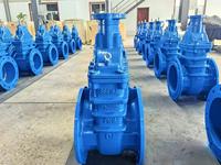 Válvula de Compuerta de Hierro Dúctil Z41T DIN3352 F4 Manual de 8 Pulgadas PN10 PN16 con Vástago Ascendente y Sello de Latón