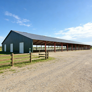 Bâtiment préfabriqué en métal à <span class=keywords><strong>construction</strong></span> rapide et économique pour poulailler, abri en structure acier pour élevage <span class=keywords><strong>de</strong></span> porcs et <span class=keywords><strong>de</strong></span> vaches, <span class=keywords><strong>construction</strong></span> <span class=keywords><strong>de</strong></span> ferme - Product Image 5