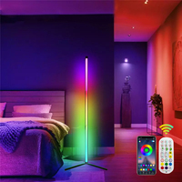 Lampadaire d'Angle LED RGB en Aluminium Moderne Nordique Howlighting pour Dropshipping avec Télécommande