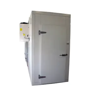 Cold Room Freezer For 5tons Frozen Okra Storage