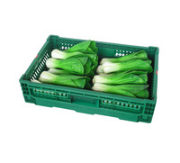 Caisse en plastique perforée robuste 600*400*140 MM, pliable, empilable, écologique, pour usage agricole, fruits et légumes