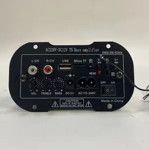 Módulo de placa amplificadora estéreo, adaptador de corriente CA/CC, reproductor Mono, amplificador de música, diseños digitales, Subwoofer activo para coche, Audio para el hogar