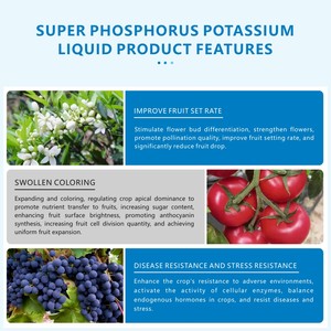 <strong>Liquid</strong> <strong>Fertilizer</strong> Filling Spray <strong>Liquid</strong> <strong>Fertilizer</strong> <strong>for</strong> Maize Corn <strong>Liquid</strong> <strong>Fertilizer</strong> Bottle Super Potassium Phosphate Solution - Product Image 3